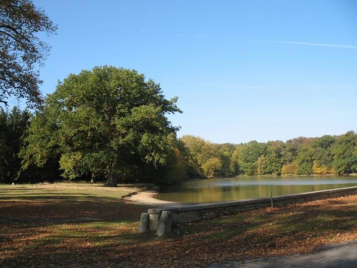 2008 10 Expo Bergerie Rambouillet 20